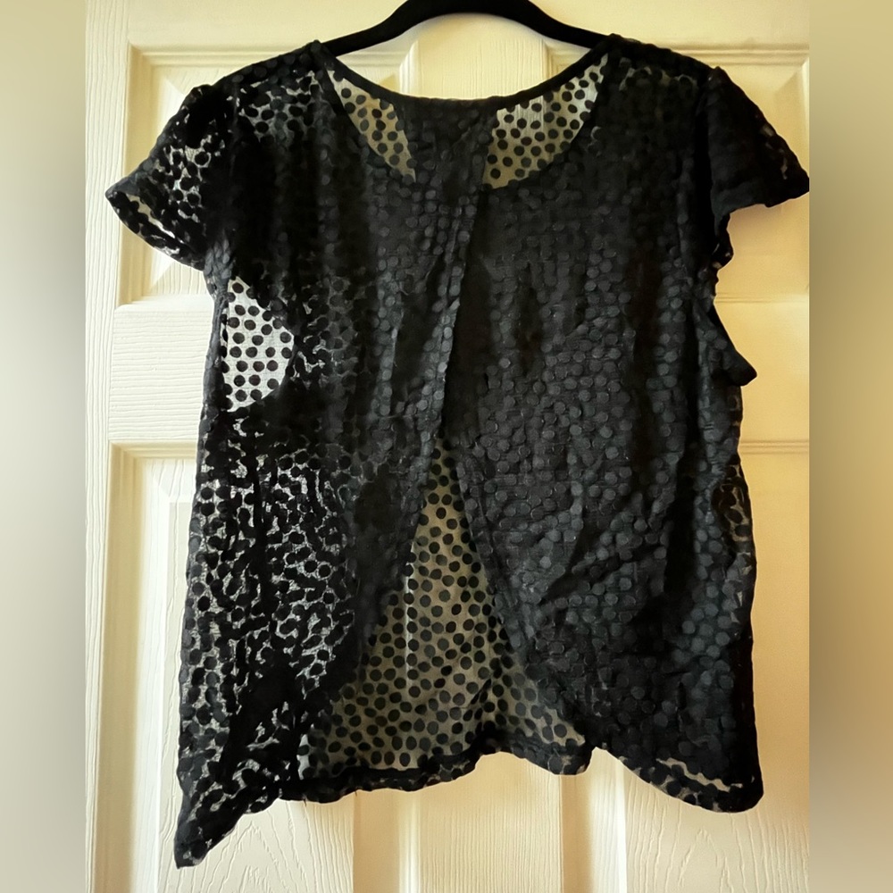 Forever 21 Sheer Black Polka Dot Short Sleeved Crop Top Shirt Size Large - Picture 2 of 3